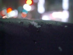 雪です（2009/03/03撮影）