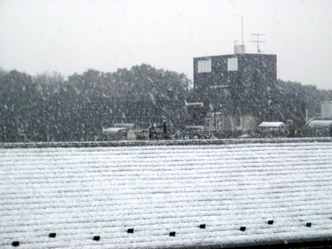 東京は初雪です